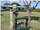 173 Inveroona Road, Bowen QLD 4805