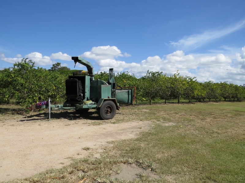 173 Inveroona Road, Bowen QLD 4805