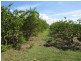 173 Inveroona Road, Bowen QLD 4805