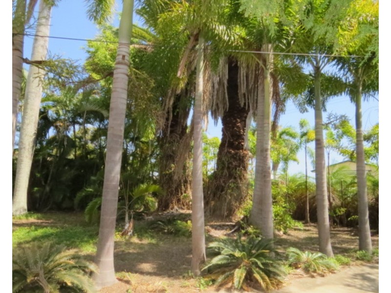 69 Tollington Road, Bowen QLD 4805