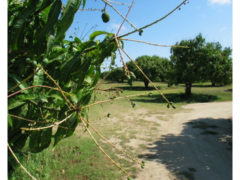 Lot 1 Millers Lane, Bowen QLD 4805