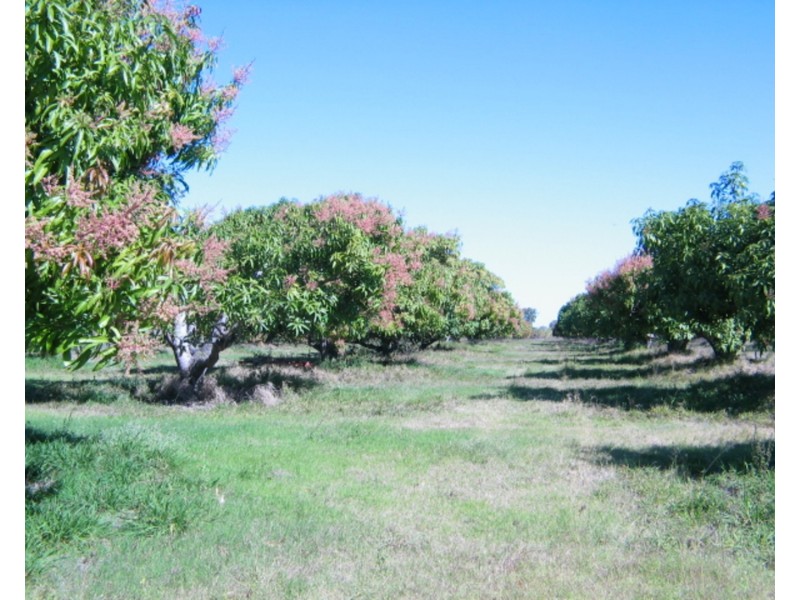 Lot 1 Millers Lane, Bowen QLD 4805