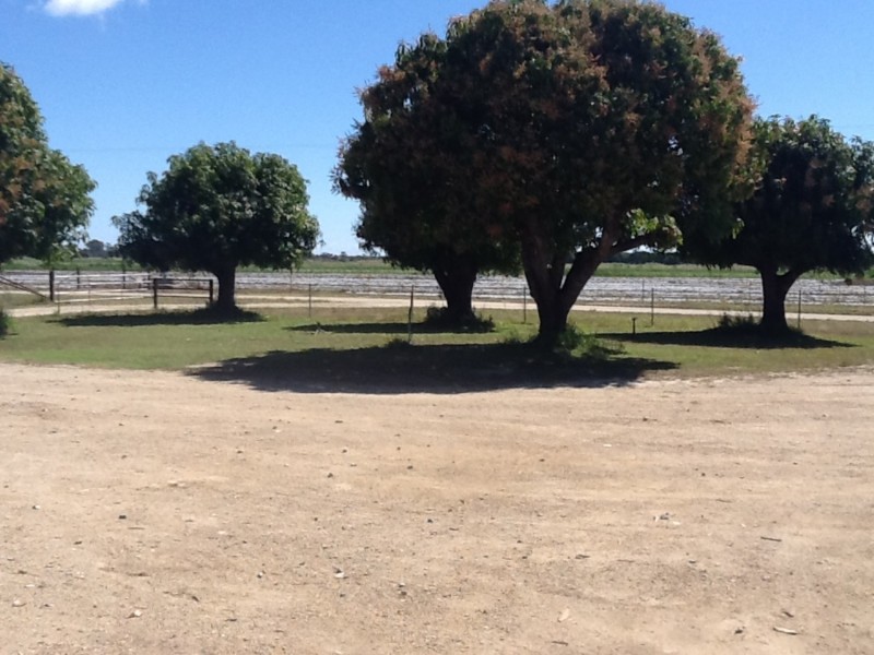 75 Taloonda Road, Bowen QLD 4805