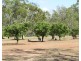 334 Normanby Road, Bowen QLD 4805