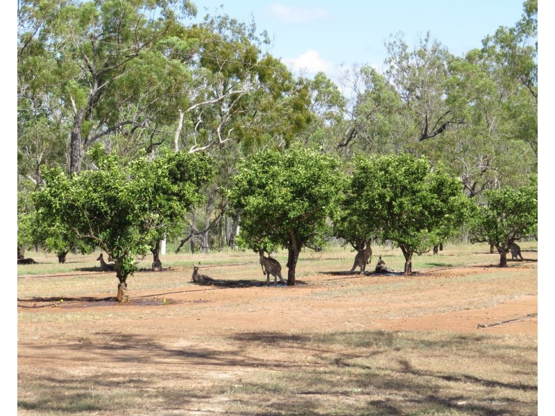 334 Normanby Road, Bowen QLD 4805