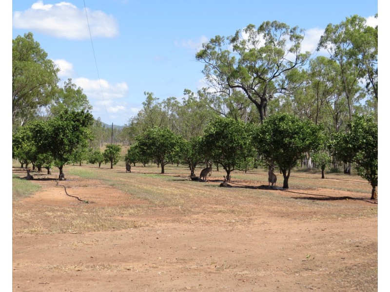 334 Normanby Road, Bowen QLD 4805