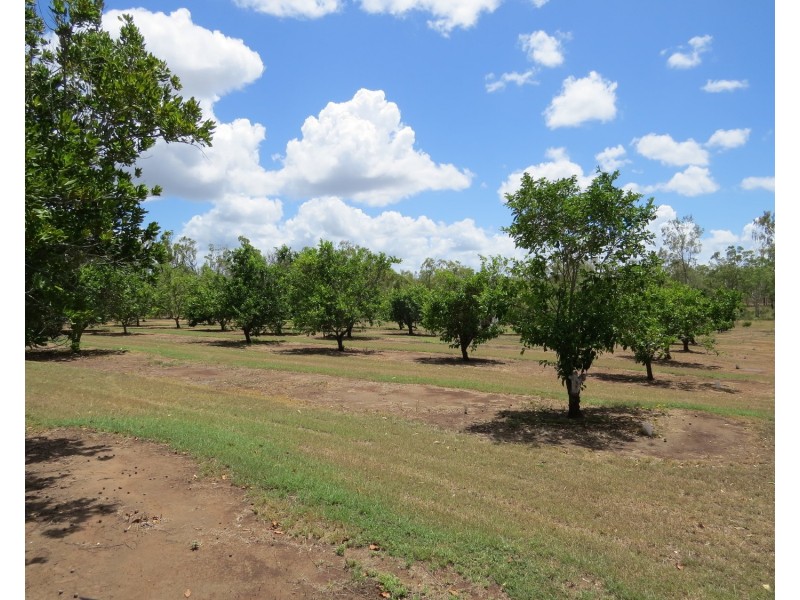 334 Normanby Road, Bowen QLD 4805
