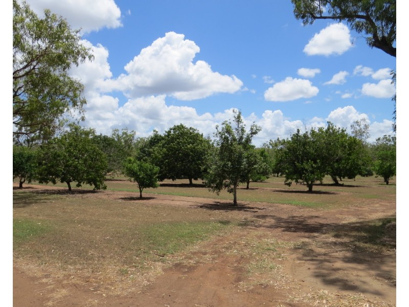 334 Normanby Road, Bowen QLD 4805