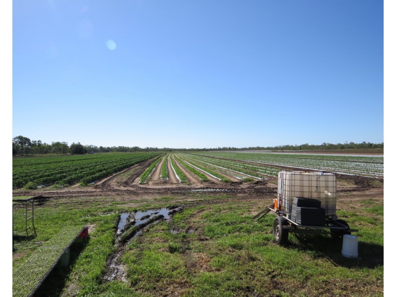 Lot 14 Bruce Highway, Bowen QLD 4805