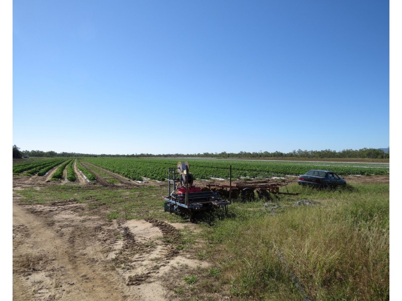 Lot 14 Bruce Highway, Bowen QLD 4805