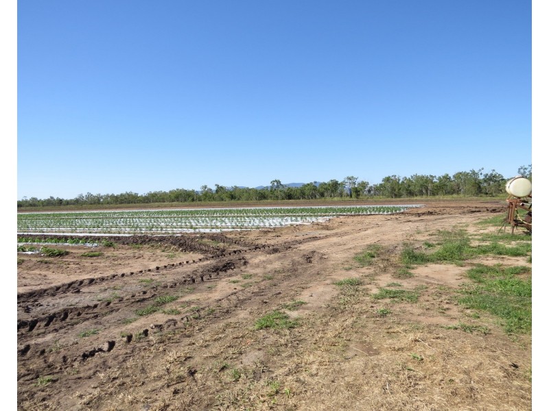 Lot 14 Bruce Highway, Bowen QLD 4805