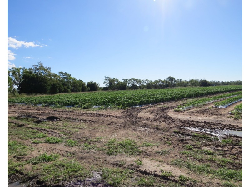 Lot 14 Bruce Highway, Bowen QLD 4805