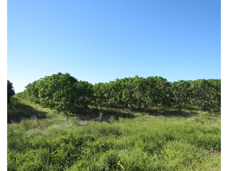Lot 14 Bruce Highway, Bowen QLD 4805