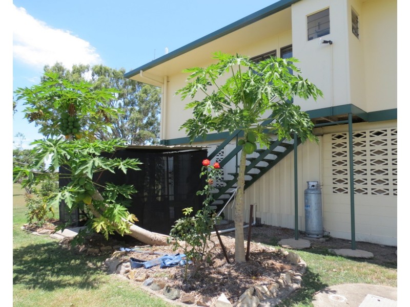 19 Chilli Lane, Bowen QLD 4805