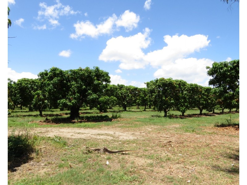 82 Weekes Road, Bowen QLD 4805