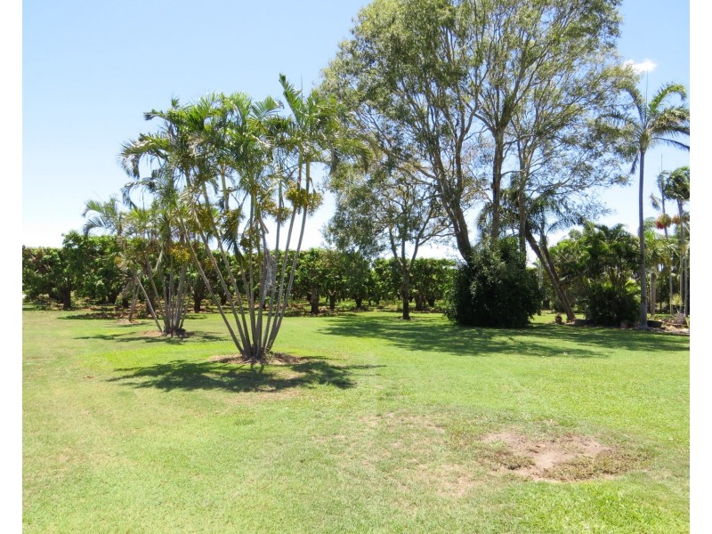 82 Weekes Road, Bowen QLD 4805