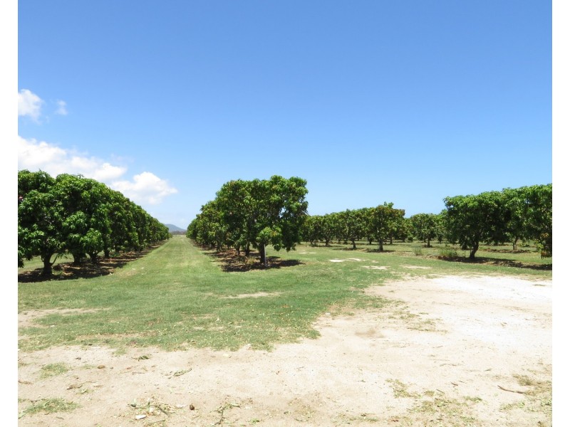 82 Weekes Road, Bowen QLD 4805