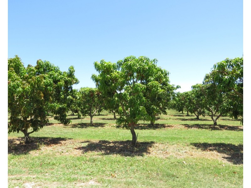 82 Weekes Road, Bowen QLD 4805