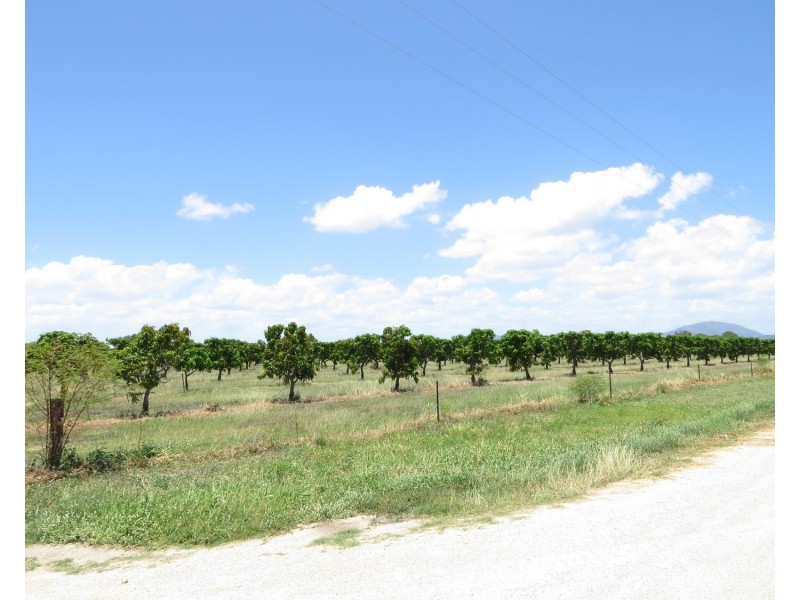 82 Weekes Road, Bowen QLD 4805