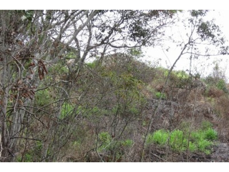 1483 Gin Gin Road, Sharon QLD 4670