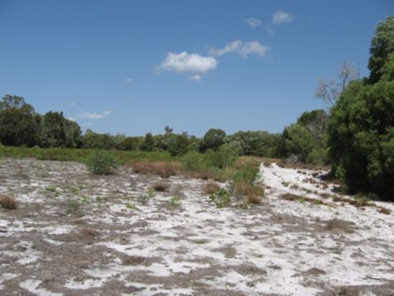 429 Woppis Road, Woodgate QLD 4660