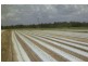 3767 Goodwood Road, Elliott QLD 4670