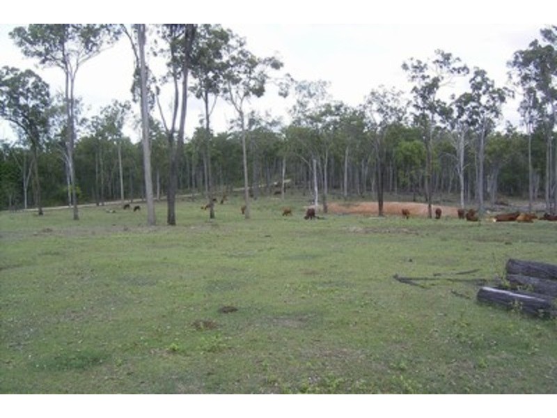 200 Cobbs Road, Bucca QLD 4670
