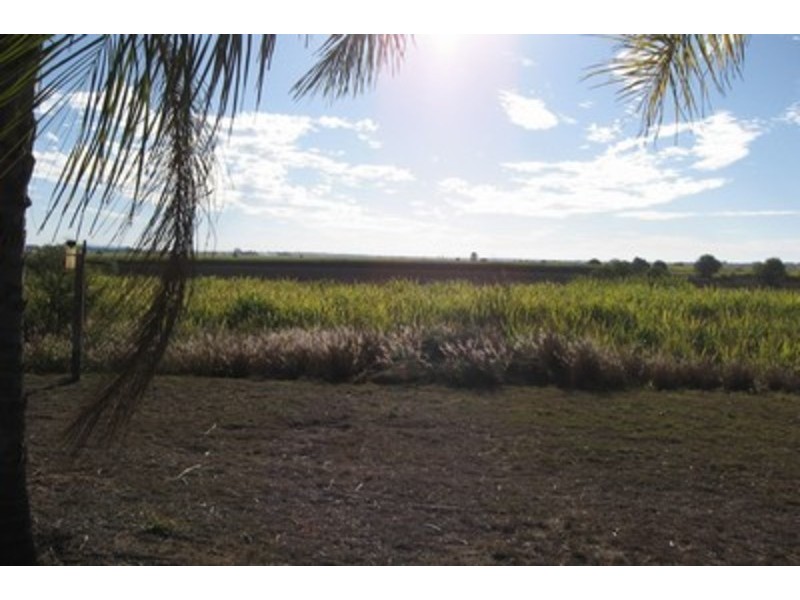 204 Moore Park Road, Moore Park Beach QLD 4670