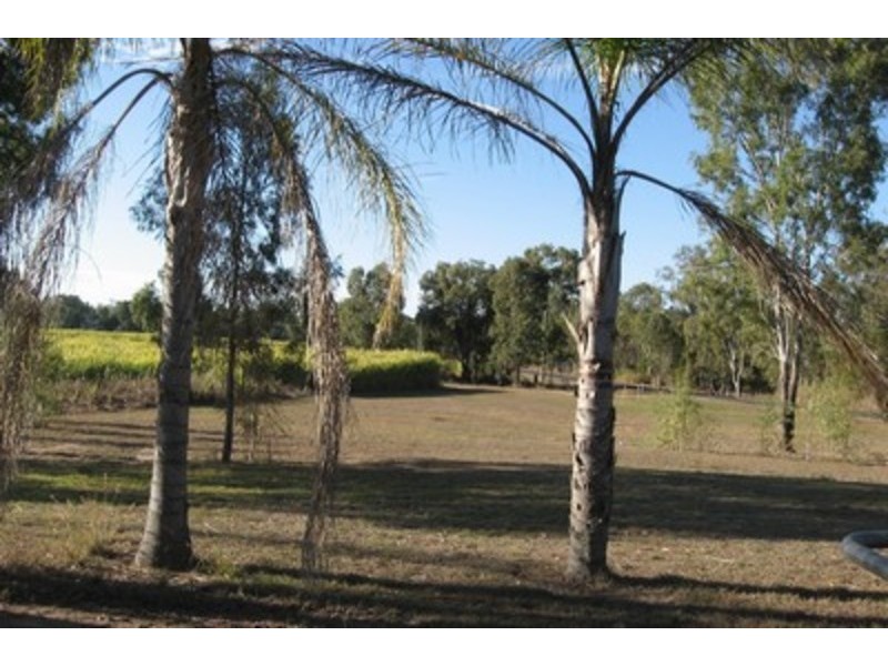 204 Moore Park Road, Moore Park Beach QLD 4670