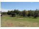 494 Moore Park Road, Welcome Creek QLD 4670