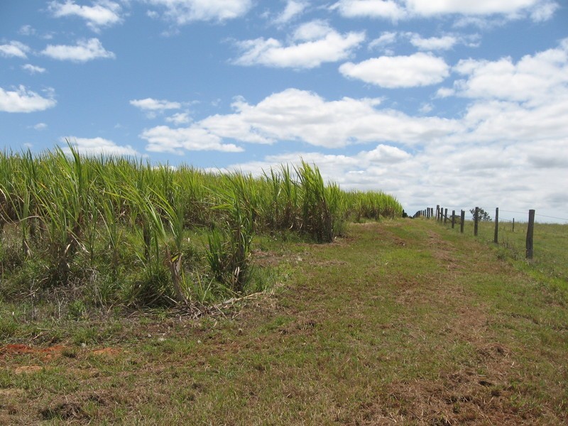 807 Pine Creek Road, Givelda QLD 4670