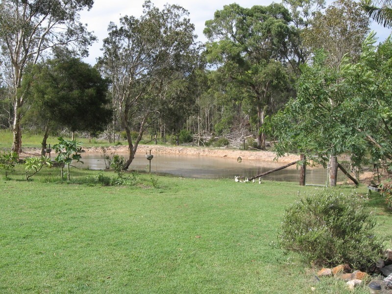 36 Paynes Road, South Kolan QLD 4670