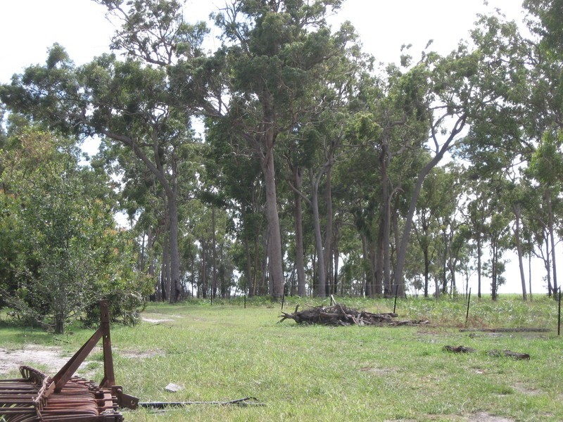36 Paynes Road, South Kolan QLD 4670