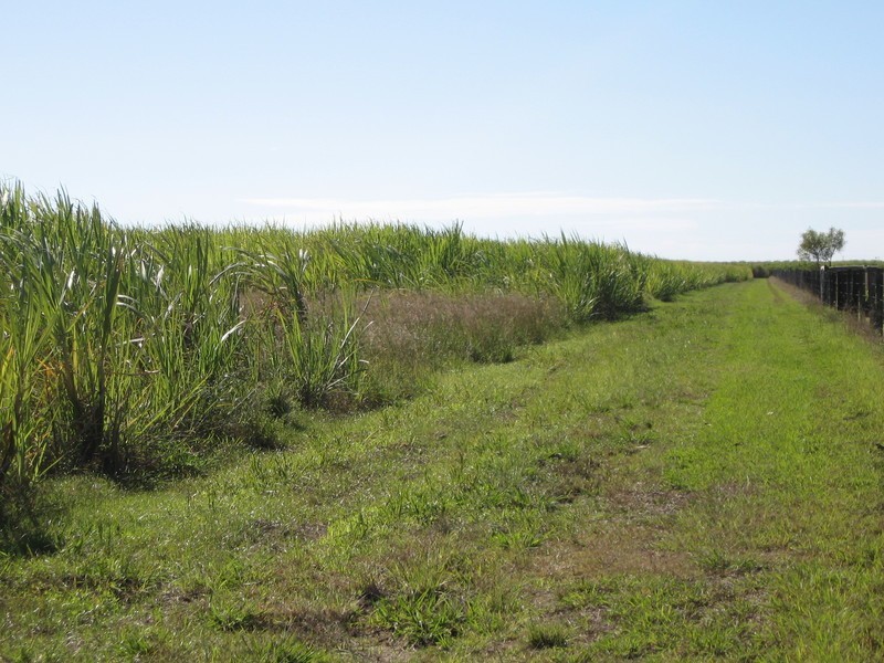 3 Eardleys Road, Welcome Creek QLD 4670