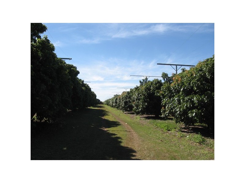 243 Wises Road, Alloway QLD 4670