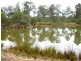 573 Bucca Road, South Kolan QLD 4670