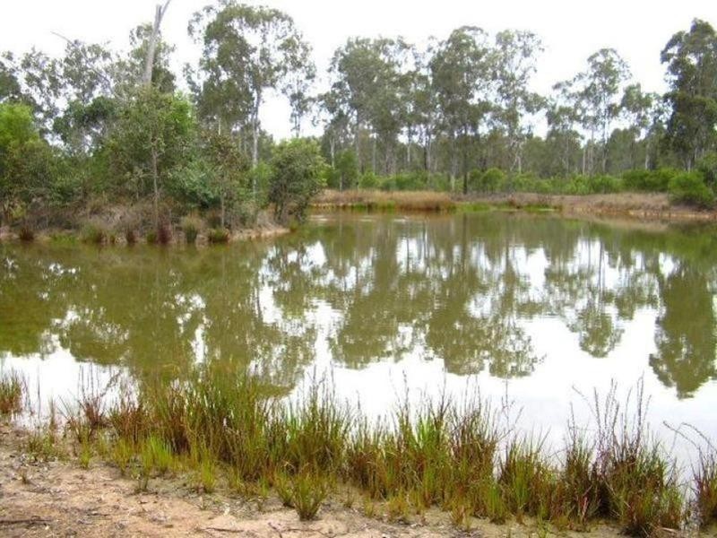 573 Bucca Road, South Kolan QLD 4670