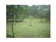 573 Bucca Road, South Kolan QLD 4670