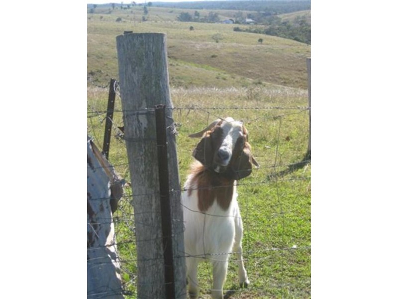 31834 Bruce Highway, Booyal QLD 4671