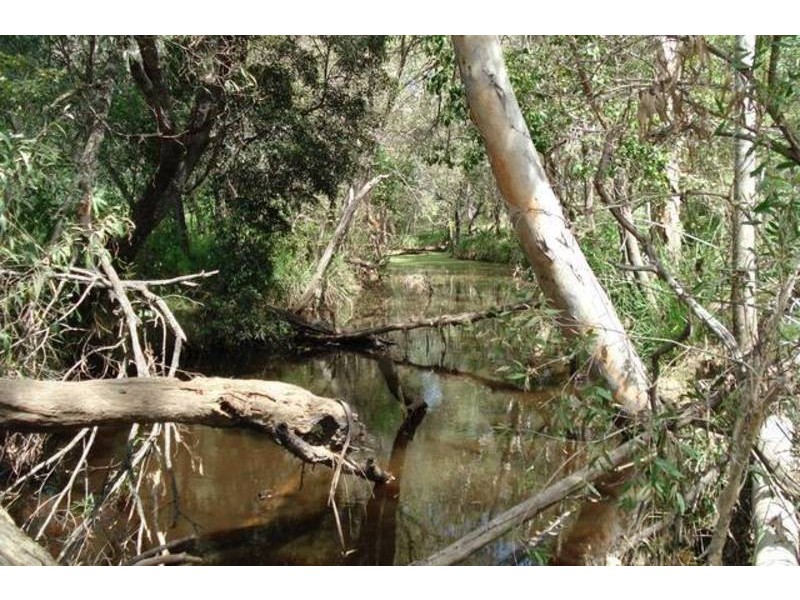 404 Boughtons Road, Bucca QLD 4670