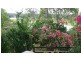 14 Carringtons Road, Avondale QLD 4670