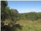 285 Winfield Road, Watalgan QLD 4670