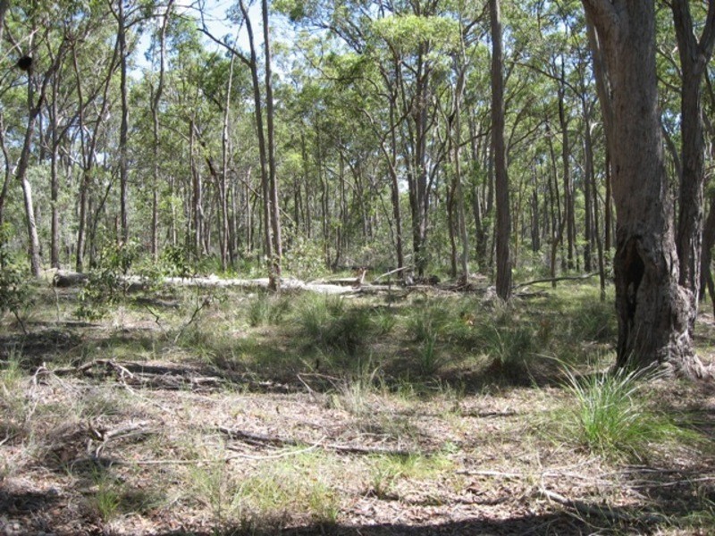 285 Winfield Road, Watalgan QLD 4670