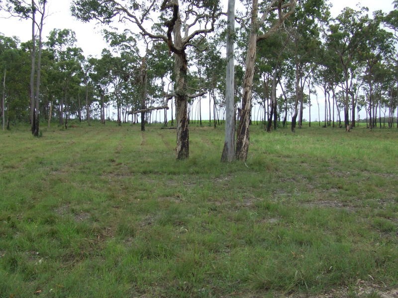 Lot 12 Butlers Road, South Kolan QLD 4670