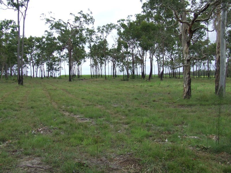 Lot 12 Butlers Road, South Kolan QLD 4670