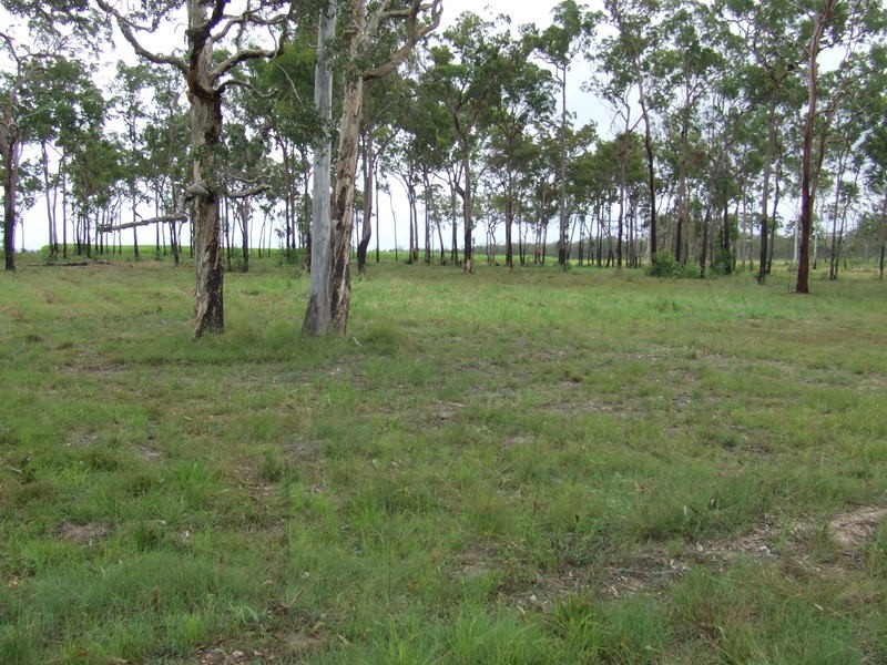 Lot 12 Butlers Road, South Kolan QLD 4670