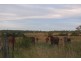 Lot 23 Betts Road, Bungadoo QLD 4671