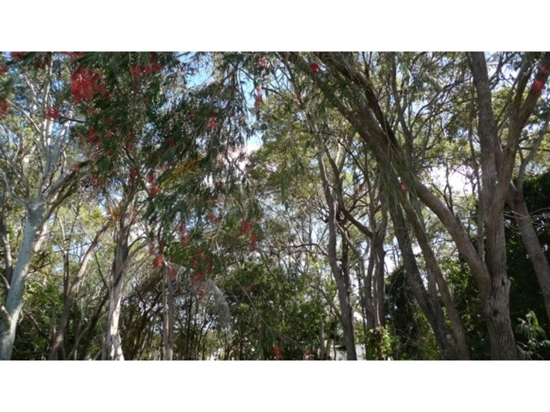 91 Avoca Street, Millbank QLD 4670