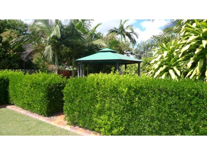 18 Theodore Street, Svensson Heights QLD 4670