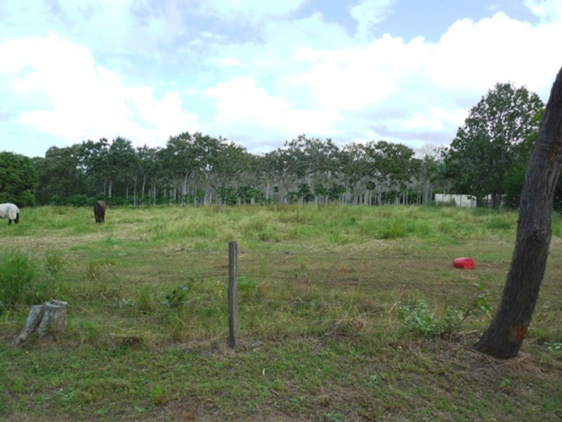 99 Fig Tree Terrace, Meadowvale QLD 4670